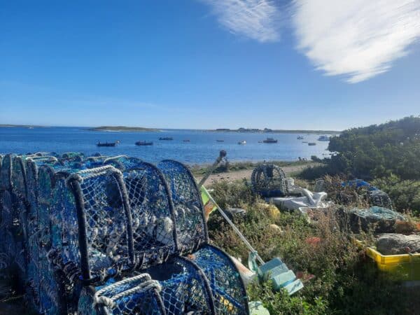 Glénan Terre de Marins, journée groupe